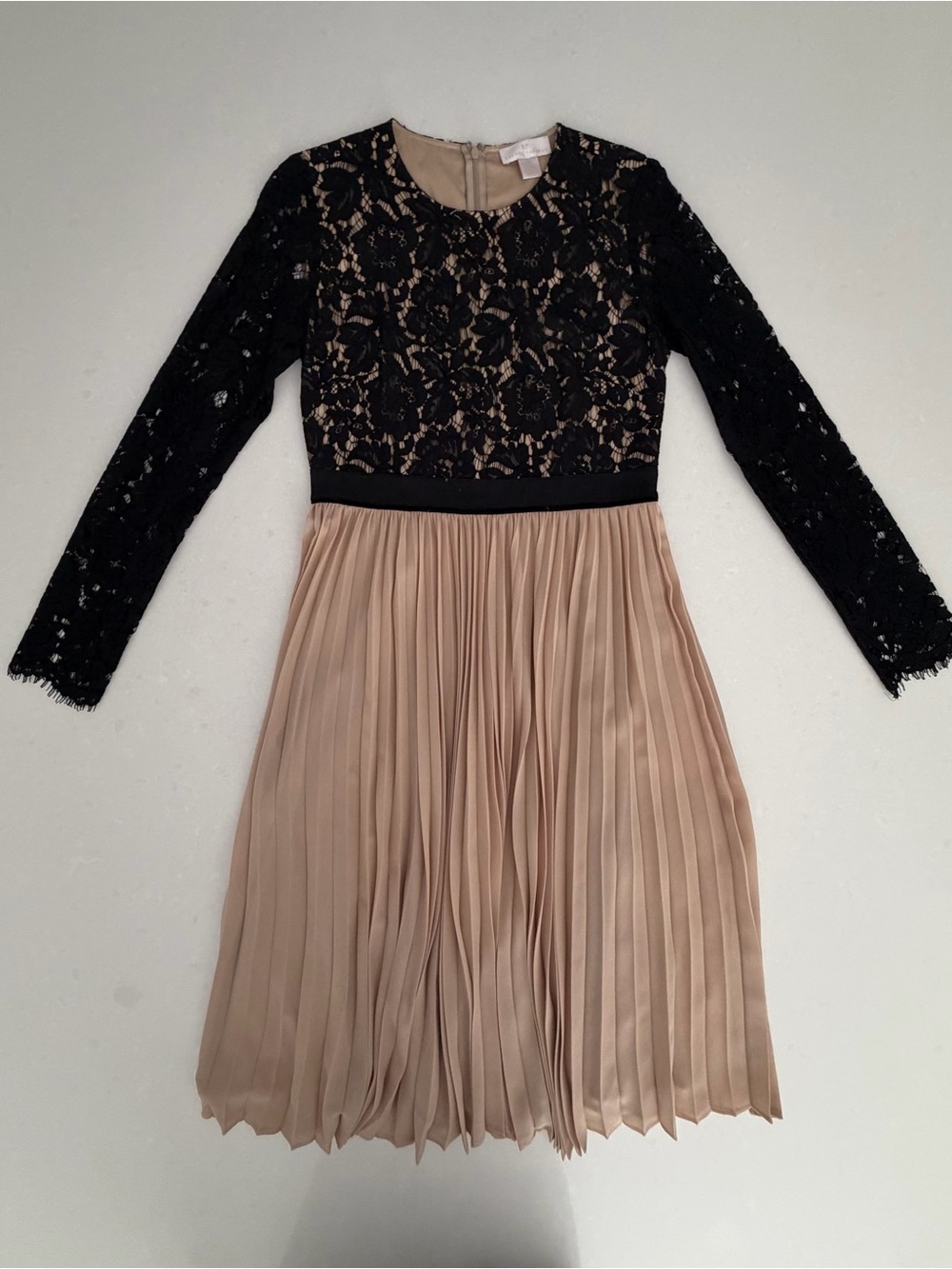 Rachel Parcell Black Lace and Nude Pleated Party Dress